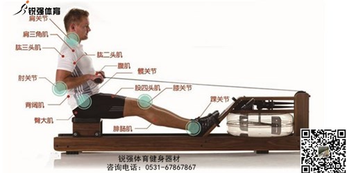 劃船機和跑步機哪個(gè)鍛煉更有效