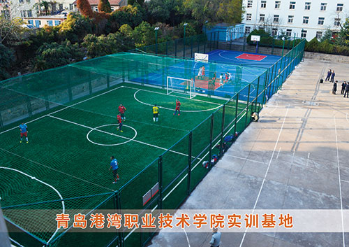?九游娱乐Nineame官方网站體育為青島港灣職業(yè)技術(shù)學(xué)院打造健身實(shí)訓基地